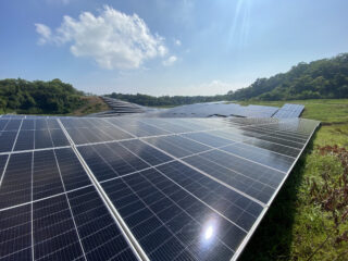 Harvesting Sunlight: The Solar Farm's Radiant Fields with Glistening Solar Panels